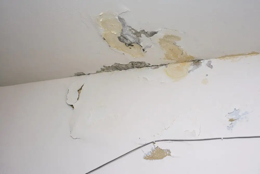 Daño techo de fugas de tuberías de agua - Vicios ocultos Vivienda